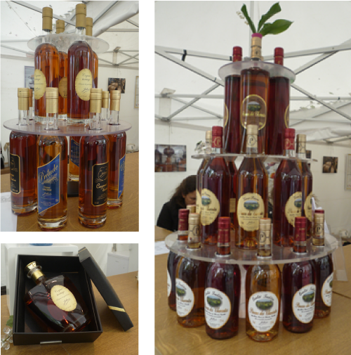 sceafjobet-vignoble-acc1